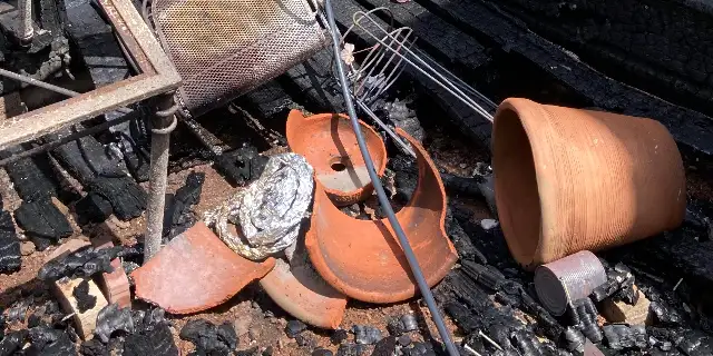 the-great-tandoori-chicken-incident-of-2022-a-true-story-starring-johnny-depp Image